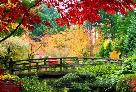 今晚日本足球比分-今晚日本足球比分，绿茵场上的激情与悬念交织之夜